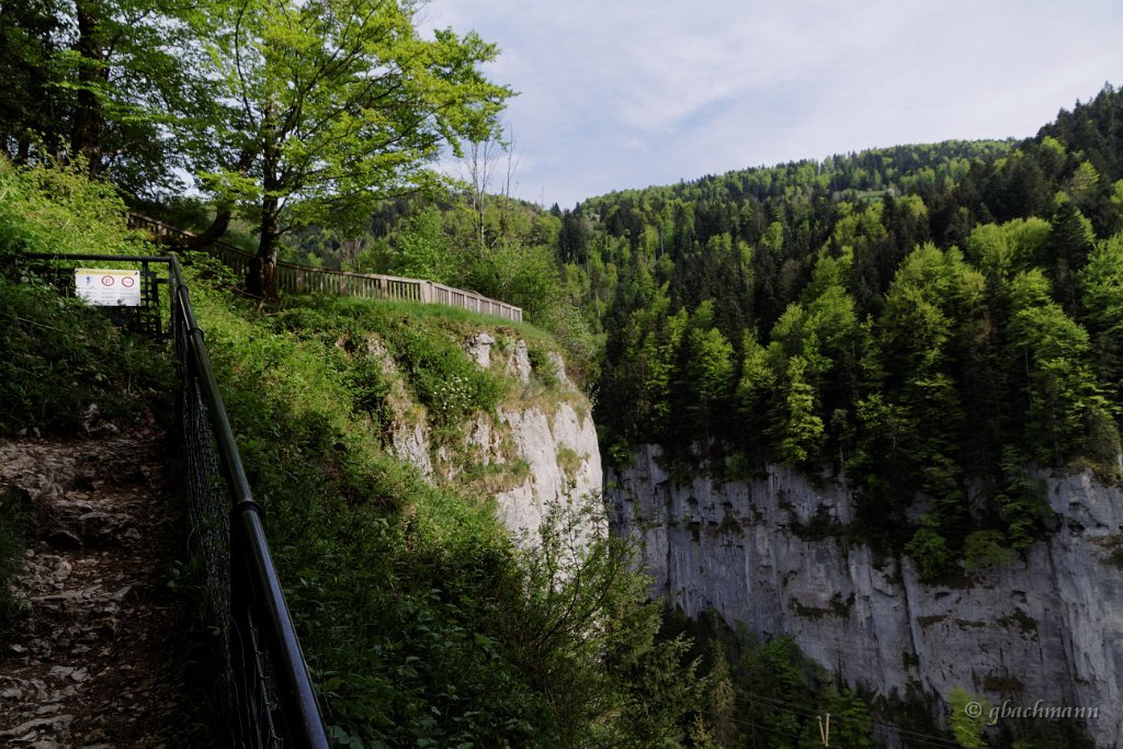 20150507_097